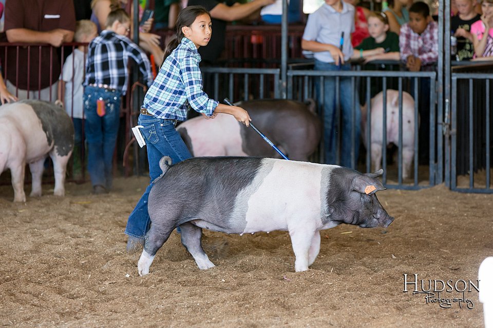 LCFAIR17-4225.jpg