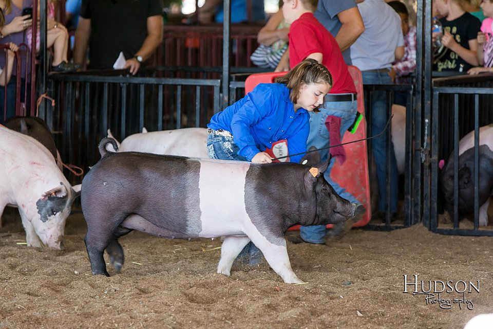 LCFAIR17-4227.jpg