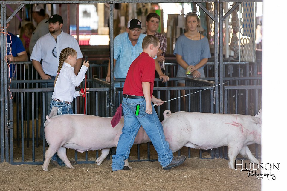 LCFAIR17-4229.jpg
