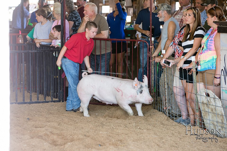 LCFAIR17-4230.jpg