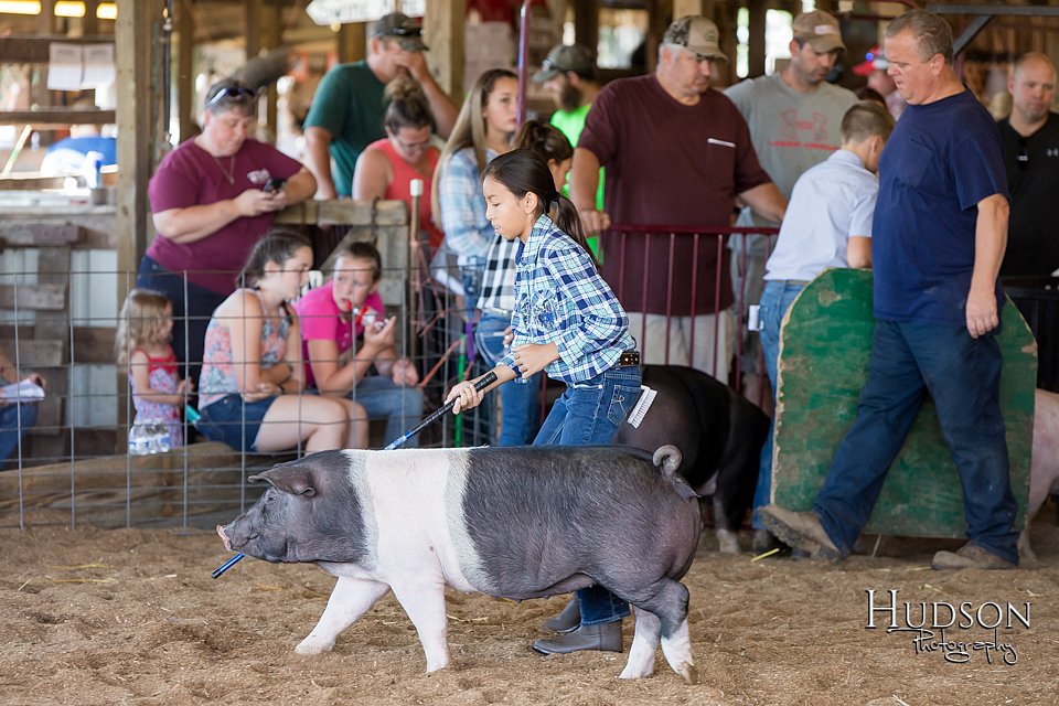 LCFAIR17-4241.jpg