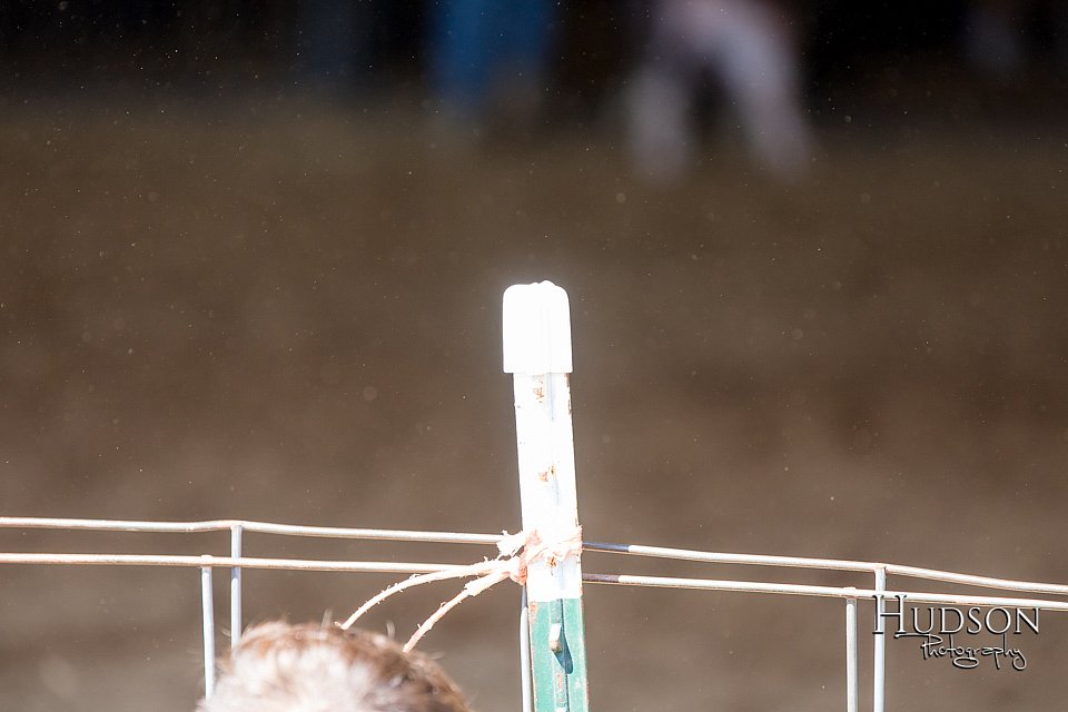LCFAIR17-4250.jpg