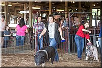 LCFAIR17-3641.jpg