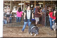 LCFAIR17-3642.jpg