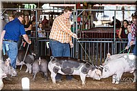 LCFAIR17-3644.jpg