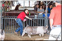 LCFAIR17-3648.jpg