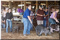 LCFAIR17-3650.jpg