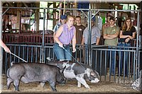 LCFAIR17-3651.jpg