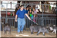 LCFAIR17-3654.jpg