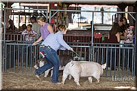 LCFAIR17-3658.jpg