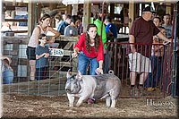 LCFAIR17-3659.jpg