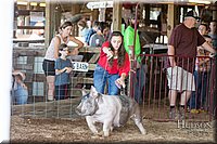 LCFAIR17-3660.jpg