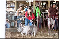 LCFAIR17-3661.jpg