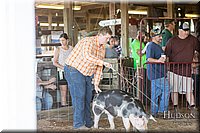 LCFAIR17-3662.jpg