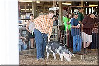 LCFAIR17-3663.jpg