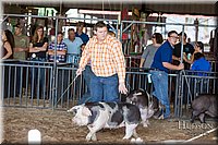 LCFAIR17-3665.jpg