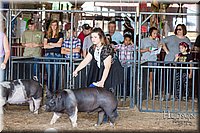 LCFAIR17-3666.jpg