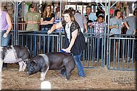 LCFAIR17-3667.jpg