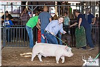 LCFAIR17-3668.jpg