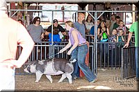 LCFAIR17-3670.jpg