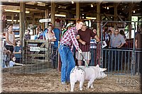 LCFAIR17-3671.jpg