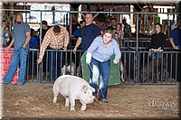 LCFAIR17-3672.jpg