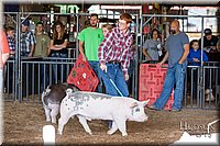 LCFAIR17-3673.jpg