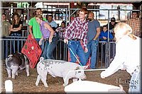 LCFAIR17-3674.jpg