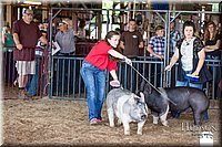 LCFAIR17-3675.jpg