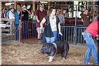 LCFAIR17-3676.jpg