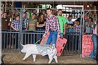 LCFAIR17-3677.jpg