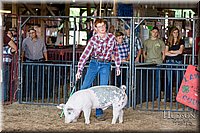 LCFAIR17-3678.jpg