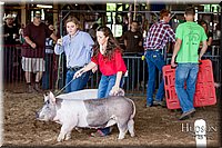 LCFAIR17-3679.jpg