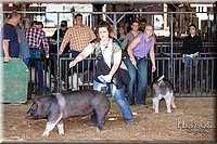 LCFAIR17-3680.jpg