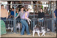 LCFAIR17-3681.jpg