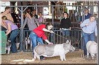 LCFAIR17-3682.jpg