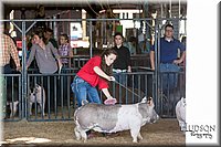 LCFAIR17-3683.jpg