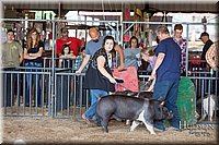 LCFAIR17-3684.jpg