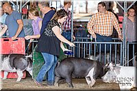 LCFAIR17-3685.jpg