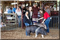 LCFAIR17-3686.jpg