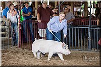 LCFAIR17-3687.jpg