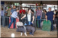 LCFAIR17-3689.jpg