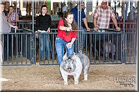 LCFAIR17-3691.jpg