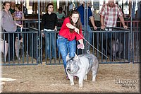 LCFAIR17-3692.jpg