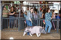 LCFAIR17-3697.jpg