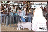 LCFAIR17-3698.jpg