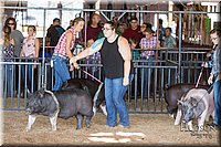 LCFAIR17-3699.jpg