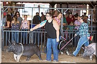 LCFAIR17-3700.jpg