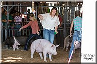 LCFAIR17-3701.jpg