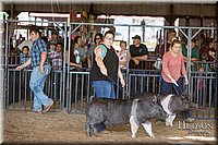 LCFAIR17-3703.jpg